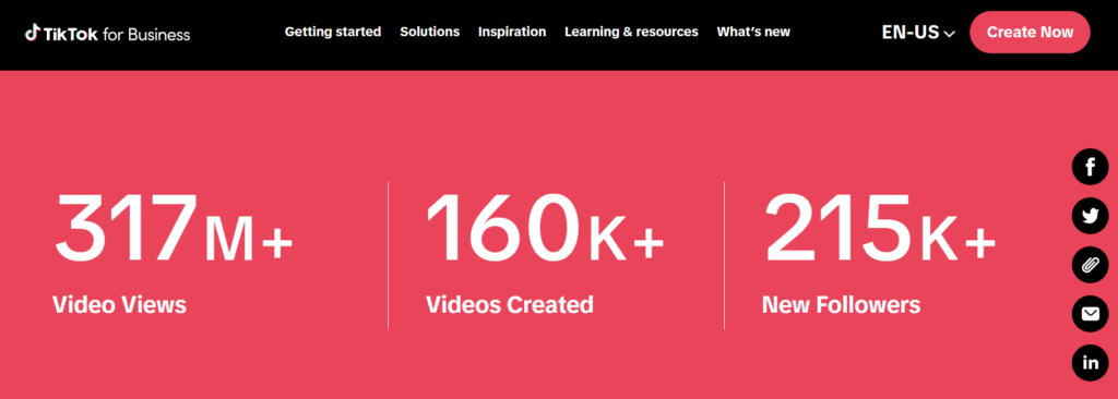 TikTok market segmentation campaign
