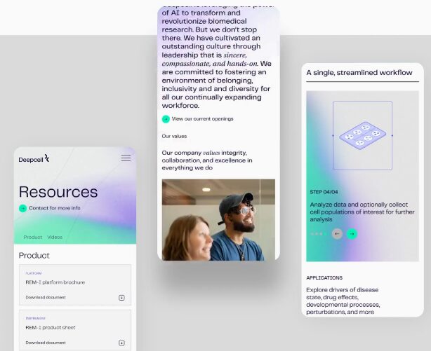 Deepcell UI 